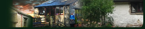 Maddy Prior 2007